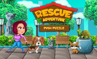 Image Push Puzzle Rescue Adventure